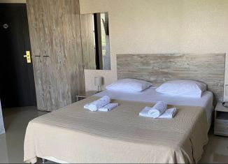 Сдаю в аренду 1-комнатную квартиру, 24 м2, Сириус, переулок Кувшинок, 7/1