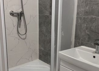 Продаю квартиру студию, 25.1 м2, Санкт-Петербург, Дальневосточный проспект, 19к1, Дальневосточный проспект