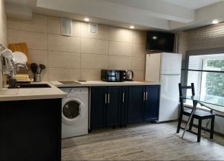 Сдаю в аренду квартиру студию, 29 м2, Санкт-Петербург, 2-й Рабфаковский переулок, 22, Невский район