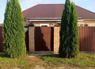 Дом на продажу, 79.1 м2, деревня Быльники, Молодёжная улица, 62