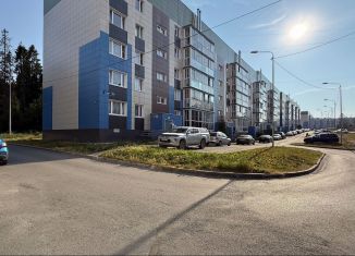 Сдаю в аренду двухкомнатную квартиру, 55.2 м2, Петрозаводск, улица Белинского, 17Б