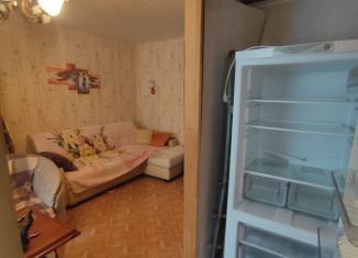 Аренда 1-комнатной квартиры, 31 м2, Московская область, Самодеятельная улица, 19