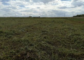 Продаю участок, 13.9 сот., деревня Кабаково