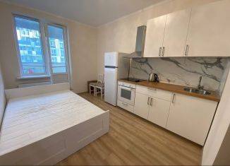 Продажа квартиры студии, 20 м2, Кудрово, Столичная улица, 11к1, ЖК Вернисаж