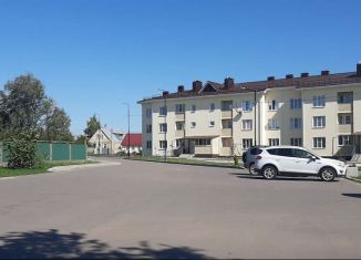 2-ком. квартира на продажу, 50.8 м2, село Новоживотинное, улица Мира, 29