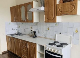 Продажа двухкомнатной квартиры, 61.5 м2, деревня Пирогово, улица Ильинского, 9