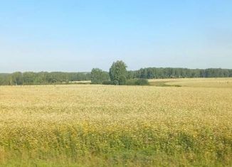 Земельный участок на продажу, 1120 сот., поселок Плотниково, Центральная улица