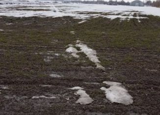 Продам участок, 680 сот., деревня Грачевка