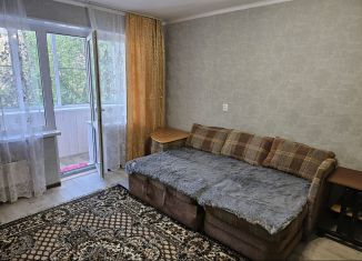 Сдается в аренду однокомнатная квартира, 36 м2, Челябинская область, Свердловский проспект, 28