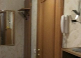 Аренда 2-комнатной квартиры, 45 м2, Санкт-Петербург, проспект Энергетиков, 31к2, муниципальный округ Большая Охта
