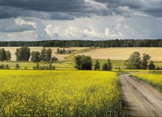 Продам земельный участок, 3000 сот., поселок Заостровье, Прибрежная улица