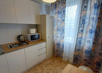 Сдаю 2-комнатную квартиру, 47 м2, Санкт-Петербург, Северный проспект