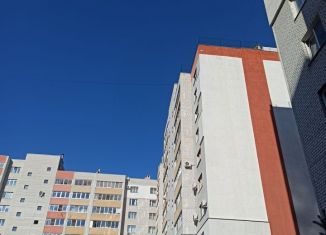 Сдам в аренду однокомнатную квартиру, 45 м2, Рязань, Интернациональная улица, 18, ЖК На Интернациональной