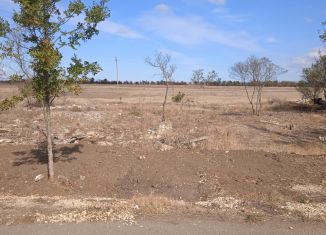 Продаю земельный участок, 1695 сот., село Луговое, улица Васи Васильева, 46