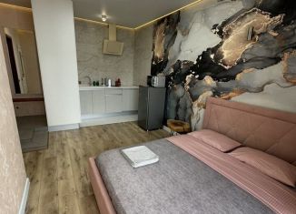 Сдам в аренду квартиру студию, 28 м2, Челябинск, улица Академика Макеева, 26, ЖК Ньютон