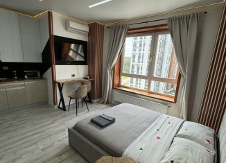 Сдача в аренду квартиры студии, 26 м2, Челябинск, улица Академика Макеева, 26, ЖК Ньютон