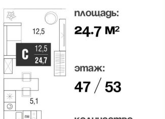 Продажа квартиры студии, 24.5 м2, Москва, проезд Серебрякова, 11-13к1, ЖК Сильвер