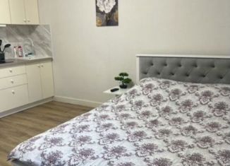 Квартира в аренду студия, 23.5 м2, Краснодарский край, улица Котанова, 4