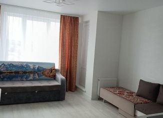 Сдаю в аренду квартиру студию, 24 м2, Ижевск, улица Леваневского, 8