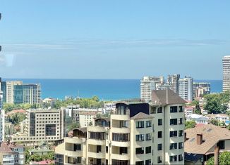 Сдается в аренду квартира студия, 18 м2, Сочи, Депутатская улица, 10Б/1, ЖК Метрополь