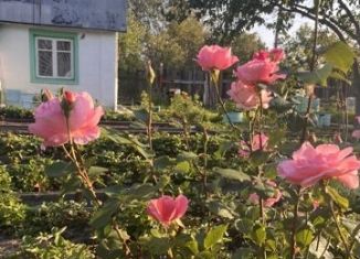 Продам дачу, 40 м2, Гусь-Хрустальный