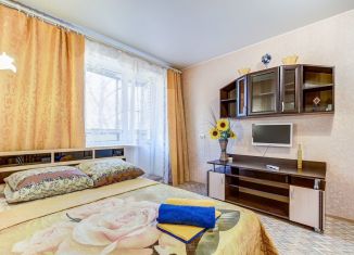 Сдается в аренду квартира студия, 30 м2, Санкт-Петербург, улица Александра Матросова, 20к2, муниципальный округ Сампсониевское