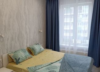 Сдается 2-ком. квартира, 50 м2, Сочи, улица Искры, 66/9