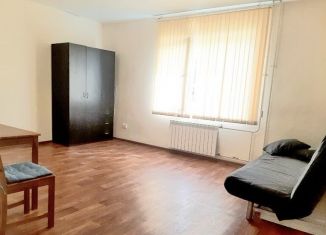 Сдаю в аренду квартиру студию, 30 м2, Новосибирск, улица Серафимовича, 27, Кировский район