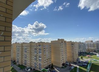 Сдаю в аренду 1-ком. квартиру, 45 м2, Чебоксары, улица Мичмана Павлова