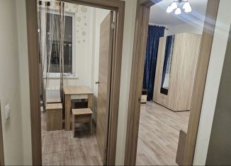 Аренда 1-комнатной квартиры, 30 м2, Санкт-Петербург, Плесецкая улица, 10