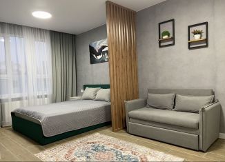 Сдам однокомнатную квартиру, 36 м2, Ростов-на-Дону, проспект Солженицына, 13/2с2