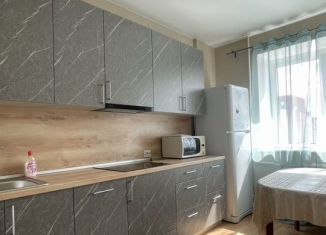 1-комнатная квартира в аренду, 40 м2, Санкт-Петербург, Индустриальный проспект, 40к1