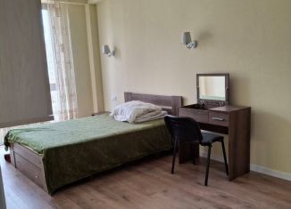 Сдается 1-комнатная квартира, 33 м2, Санкт-Петербург, улица Севастьянова, 16