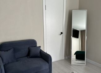 Сдам квартиру студию, 33 м2, Республика Башкортостан, улица Карла Маркса, 10