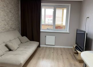 Сдаю в аренду однокомнатную квартиру, 44 м2, Чебоксары, улица Юрия Гагарина, 47к2