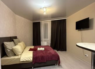 Квартира в аренду студия, 23 м2, Пермь, Автозаводская улица, 30, ЖК Вариант