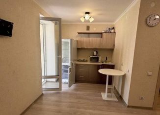 Сдается в аренду квартира студия, 24 м2, поселок городского типа Стройкерамика, улица Нестора Постникова, 4