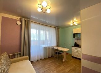 Квартира на продажу студия, 23 м2, Барнаул, улица Гущина, 150/4