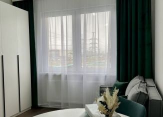 Сдается в аренду квартира студия, 19 м2, Санкт-Петербург, Муринская дорога, 31к3, метро Девяткино