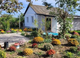 Продажа дома, 50 м2, село Березовка, Южная улица, 10