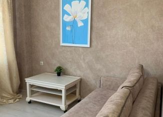 Сдается в аренду 1-комнатная квартира, 32 м2, Сочи, Демократическая улица, 66, микрорайон Черемушки