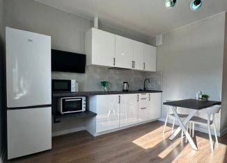 Сдаю квартиру студию, 27 м2, Краснодар, улица Григория Булгакова, 13к1, микрорайон Достояние