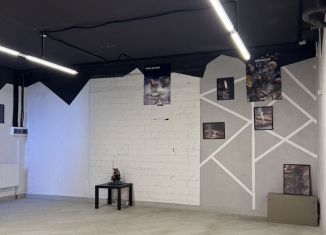 Продам помещение свободного назначения, 44 м2, Ставропольский край, улица Генерала Маргелова, 3