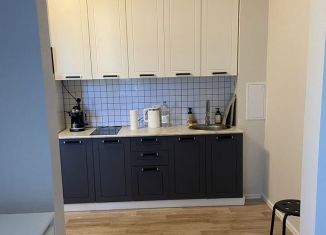 Сдаю квартиру студию, 23.3 м2, Санкт-Петербург, Чарушинская улица, 24к1