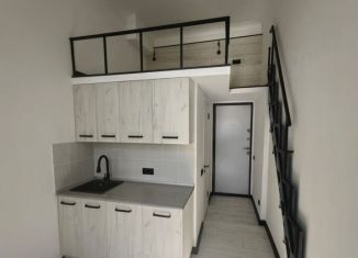 Аренда квартиры студии, 16 м2, Санкт-Петербург, набережная реки Фонтанки, 76