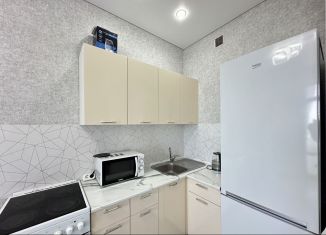 Однокомнатная квартира в аренду, 29.9 м2, Краснодар, Воронежская улица, 47/14, микрорайон Черемушки