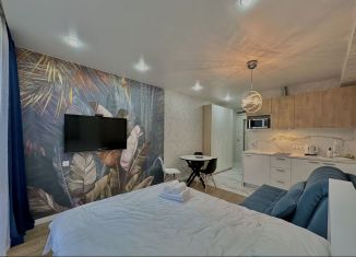 Сдача в аренду квартиры студии, 28 м2, Сочи, микрорайон Приморье, Курортный проспект, 96Гк2