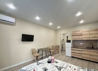 Аренда квартиры студии, 27 м2, Сочи, улица Искры, 88к3, микрорайон Кудепста