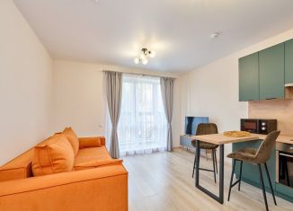 Сдам в аренду квартиру студию, 26.3 м2, Пермь, улица КИМ, 57А, Мотовилихинский район