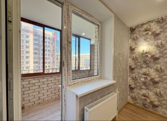 Продаю квартиру студию, 28 м2, деревня Ивановское, улица Семёна Гордого, 12